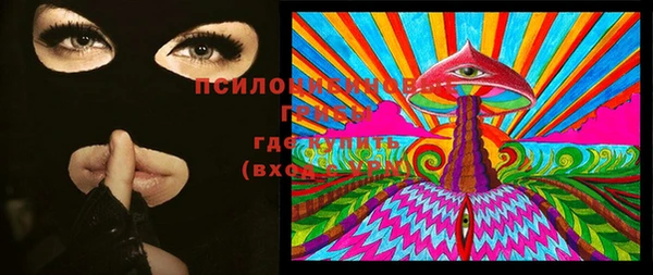 МДПВ Семилуки