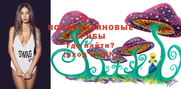 СК Арсеньев